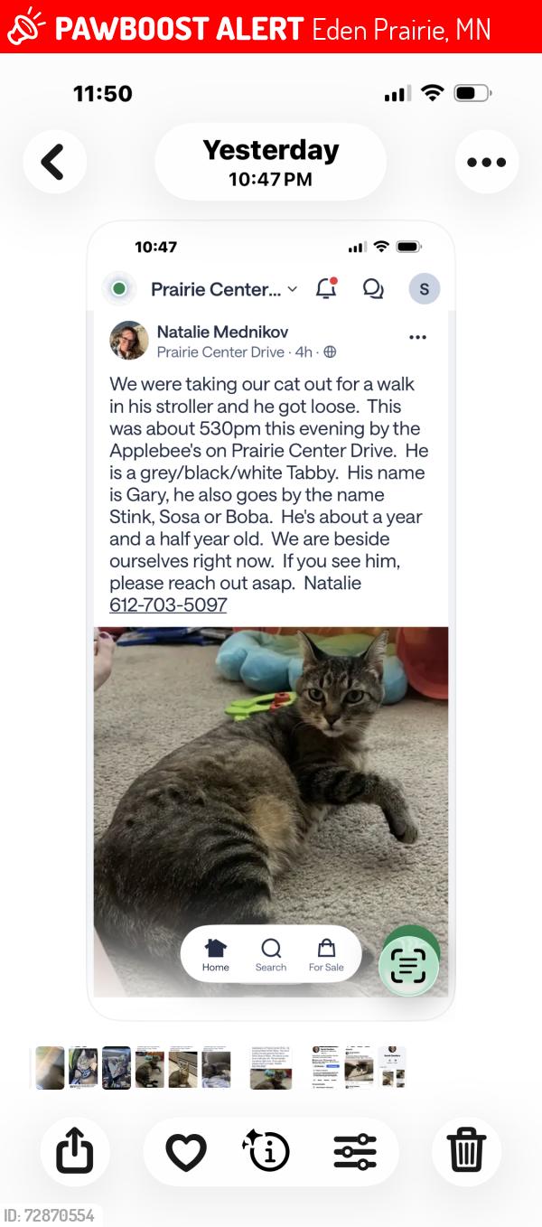 Lost Male Cat last seen Prairie center dr, Eden Prairie, MN 55346