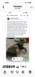 Lost Male Cat last seen Prairie center dr, Eden Prairie, MN 55346