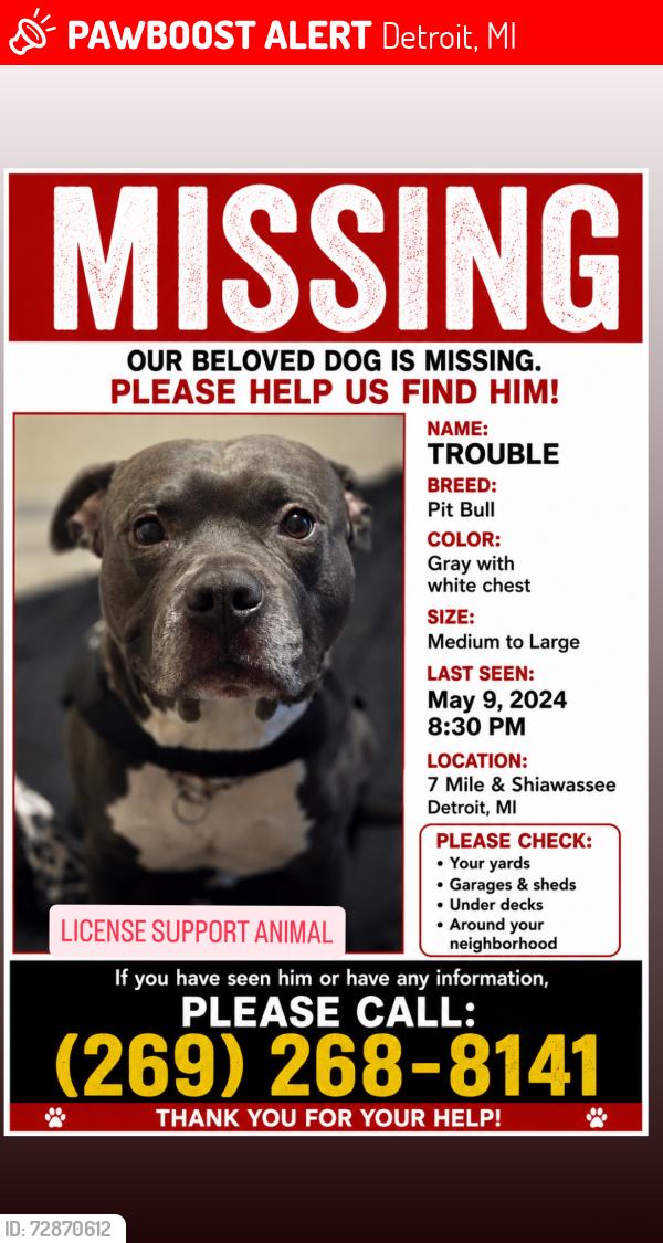 Lost Male Dog last seen 7 mile, Detroit, MI 48219