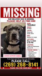 Lost Male Dog last seen 7 mile, Detroit, MI 48219
