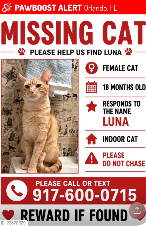 Lost Female Cat last seen Ivey Lane and Old Winter Graden road, Orlando, FL 32811