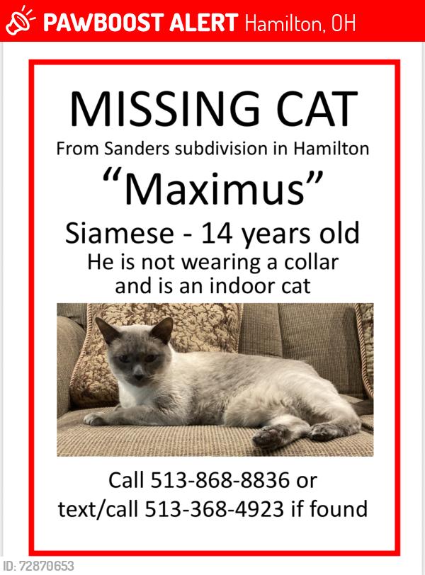 Lost Male Cat last seen NW Washington blvd, Hamilton, OH 45013