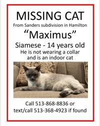 Lost Male Cat last seen NW Washington blvd, Hamilton, OH 45013