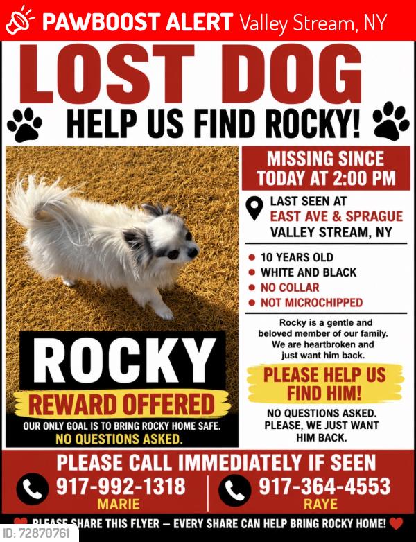 Lost Male Dog last seen East Avenue and Sprague In Valley Stream, Valley Stream, NY 11582