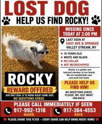 Lost Male Dog last seen East Avenue and Sprague In Valley Stream, Valley Stream, NY 11582