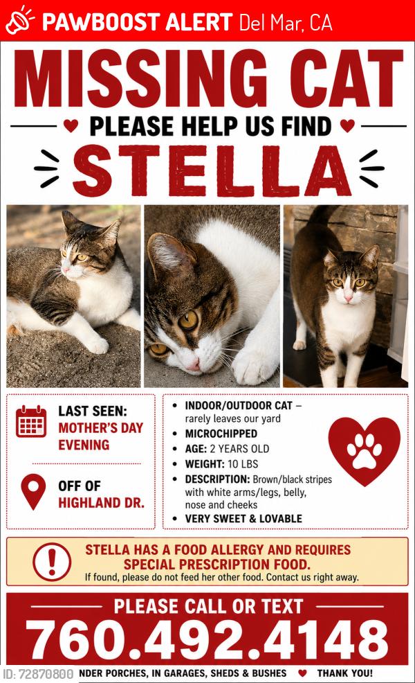 Lost Female Cat last seen Highland Drive Del Mar 92014, Del Mar, CA 92014