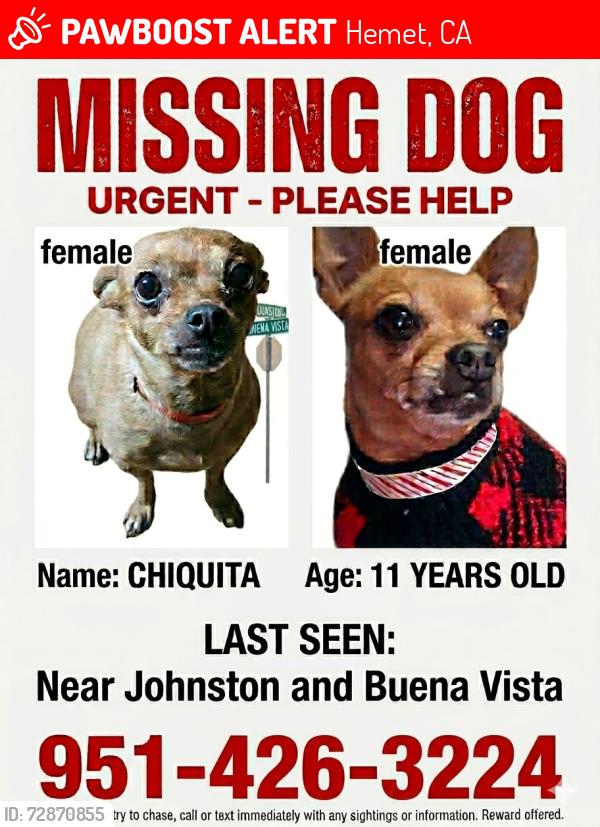 Lost Female Dog last seen Buena Vista , Hemet, CA 92543