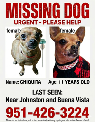 Lost Female Dog last seen Buena Vista , Hemet, CA 92543