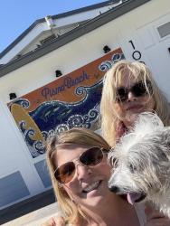 Lost Male Dog last seen Moose Lodge Pismo, Pismo Beach, CA 93449