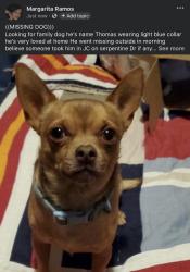 Lost Male Dog last seen By hse, Jacinto City, TX 77029