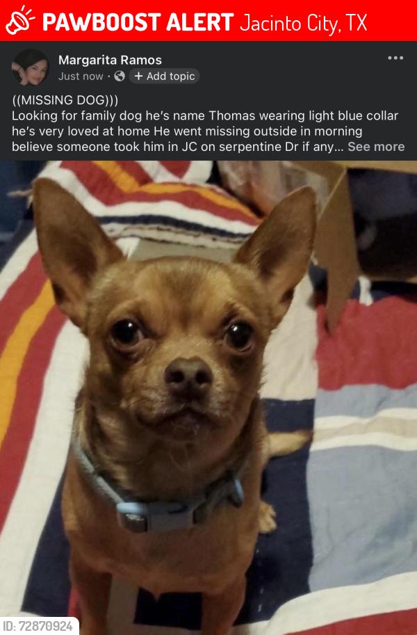 Lost Male Dog last seen By hse, Jacinto City, TX 77029