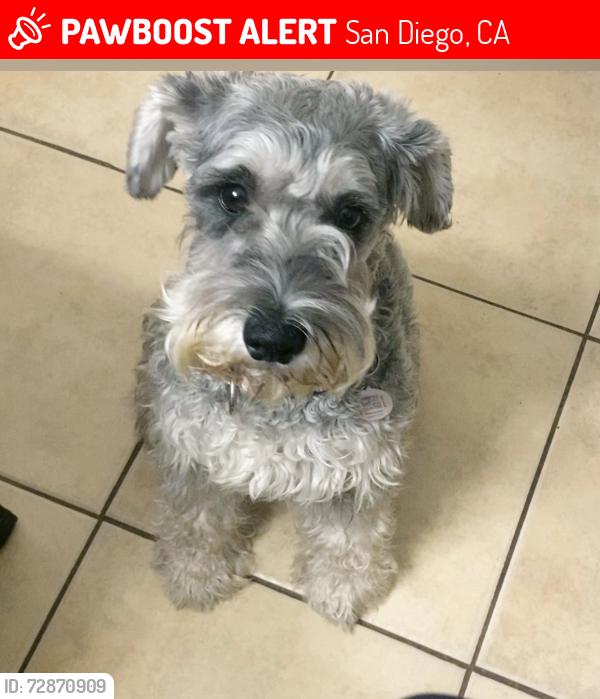 Lost Female Dog last seen Near Allenhurst Pl, San Diego, CA 92117