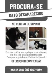 Lost Male Cat last seen Cartório centro Sumaré SP, Vila Miranda, SP 13170