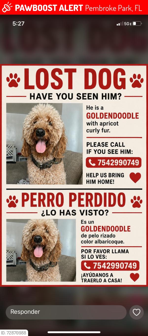 Lost Male Dog last seen Very close to Godwill and Bank of America , Pembroke Park, FL 33009