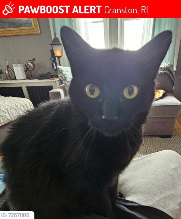 Lost Male Cat last seen Waldron and Aqueduct Rd, Cranston, RI 02910