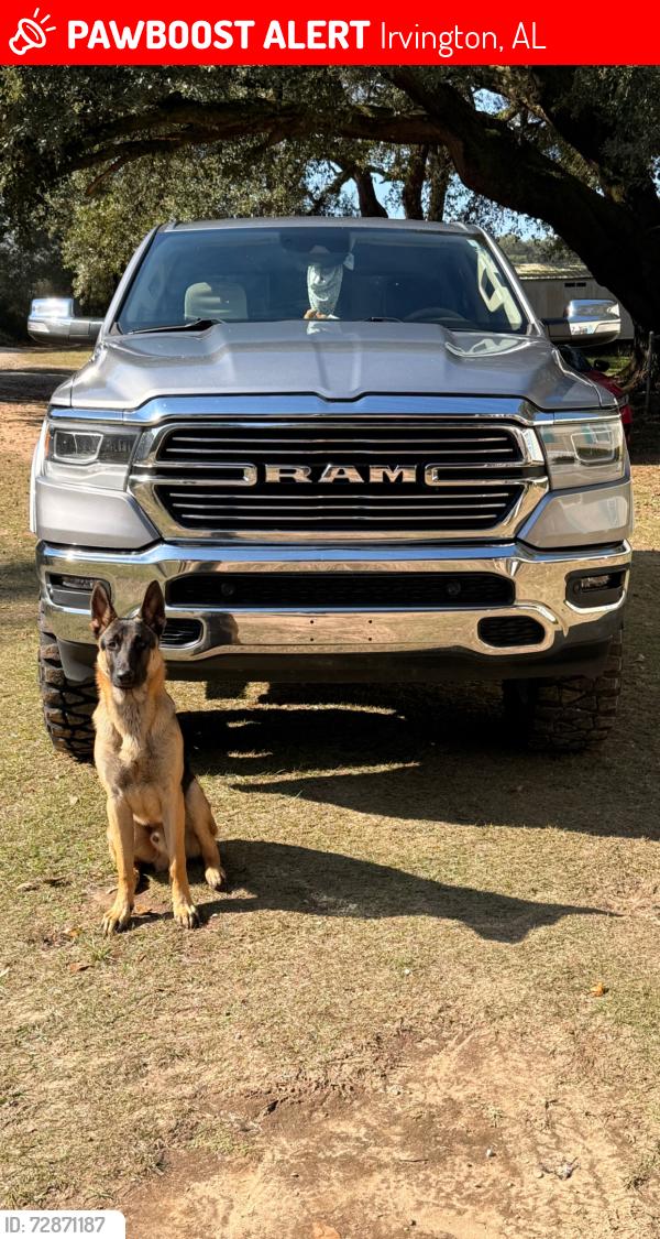 Lost Male Dog last seen three mile rd , Irvington, AL 36544