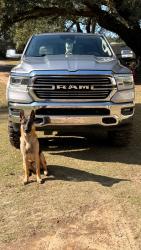 Lost Male Dog last seen three mile rd , Irvington, AL 36544
