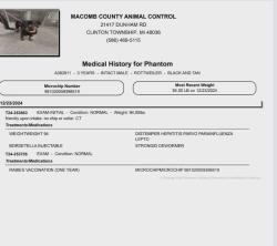 Lost Male Dog last seen E 29th Street a couple blocks up from University Ave , Des Moines, IA 50317