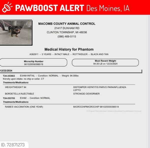 Lost Male Dog last seen E 29th Street a couple blocks up from University Ave , Des Moines, IA 50317