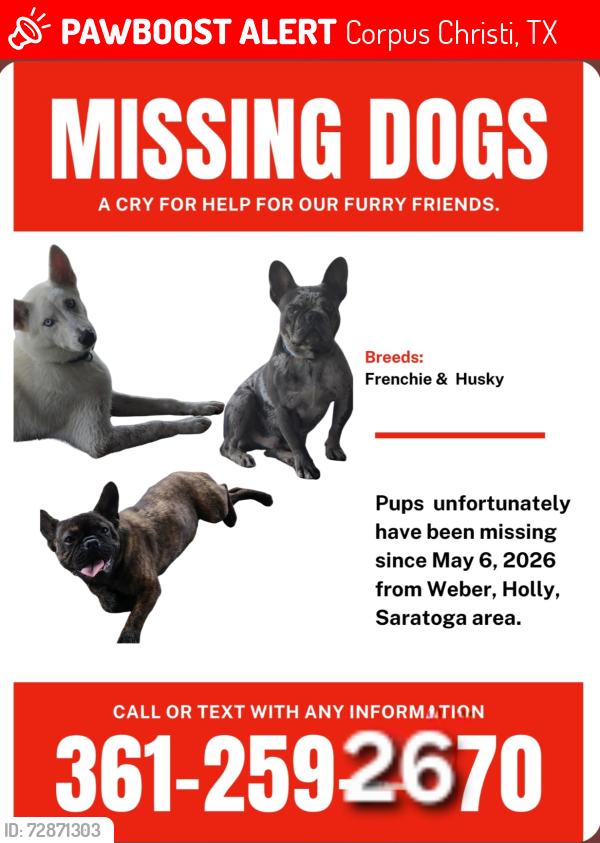 Lost Male Dog last seen Weber Rd/Saratoga , Corpus Christi, TX 78413
