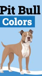 Lost Male Dog last seen Wade park & Addison, Cleveland, OH 44103