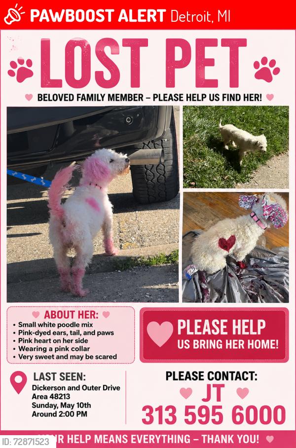 Lost Female Dog last seen erson , Detroit, MI 48205