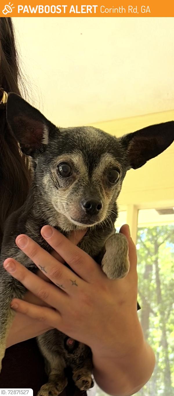 Found/Stray Male Dog last seen Hey 54/Corinth Rd, Corinth Rd, GA 30238