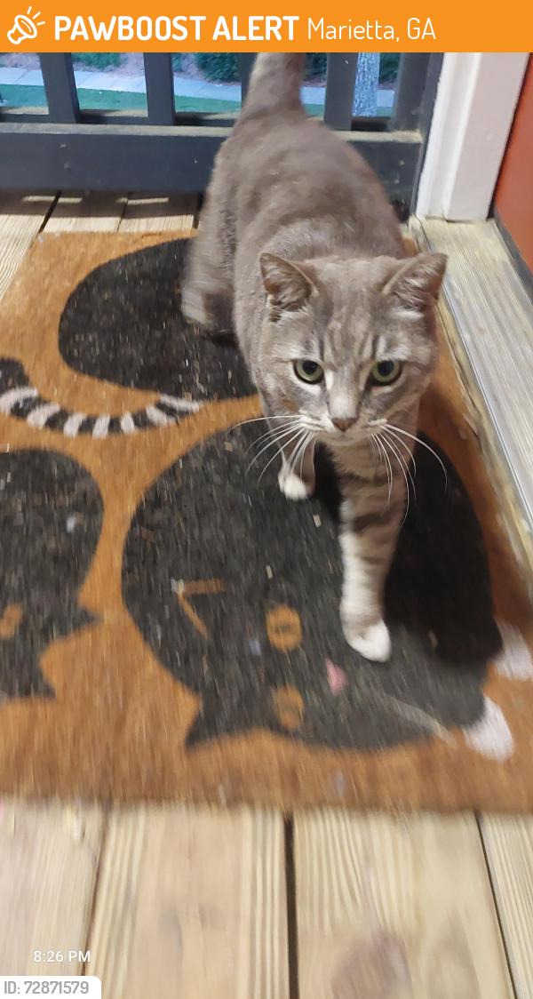 Found/Stray Male Cat last seen Waffle hse, Marietta, GA 30067