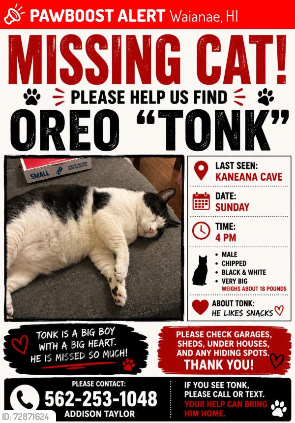 Lost Male Cat last seen Kaneana cave, Waianae, HI 96792