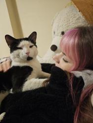 Lost Male Cat last seen Enver Creek Park, Surrey, BC V3S 2T9