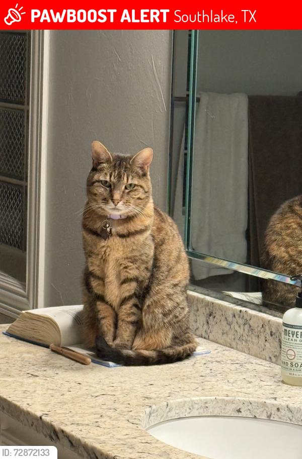 Lost Female Cat last seen Timberlake neighborhood , Southlake, TX 76092