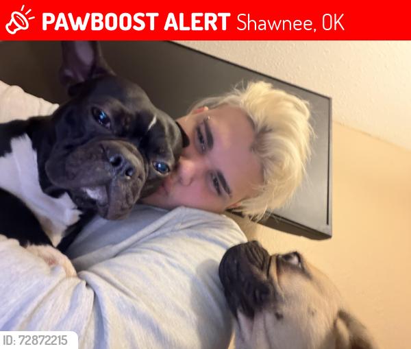 Found/Stray Male Dog last seen Nw 11th St and Shawnee , Shawnee, OK 74801