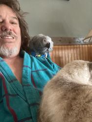 Lost Unknown Bird last seen Carlin rd. And Jill Ln., Satsuma, FL 32189