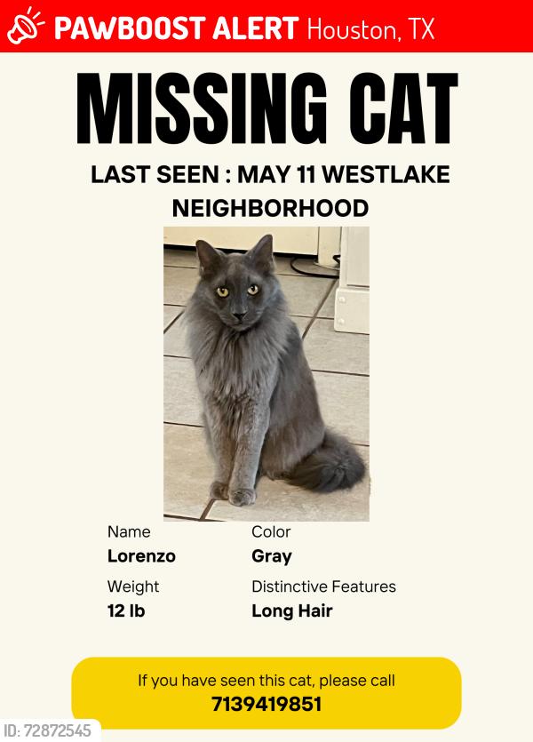 Lost Male Cat last seen Near Blindlake de, Houston, TX 77084