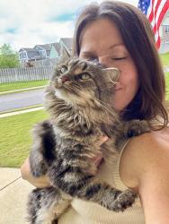 Found/Stray Female Cat last seen Near Caldwell — Stockton Subdivision Trussville AL , Trussville, AL 35173