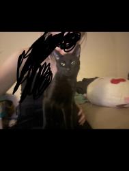 Lost Male Cat last seen Felix Pl. and SE 15th, Midwest City, OK 73110