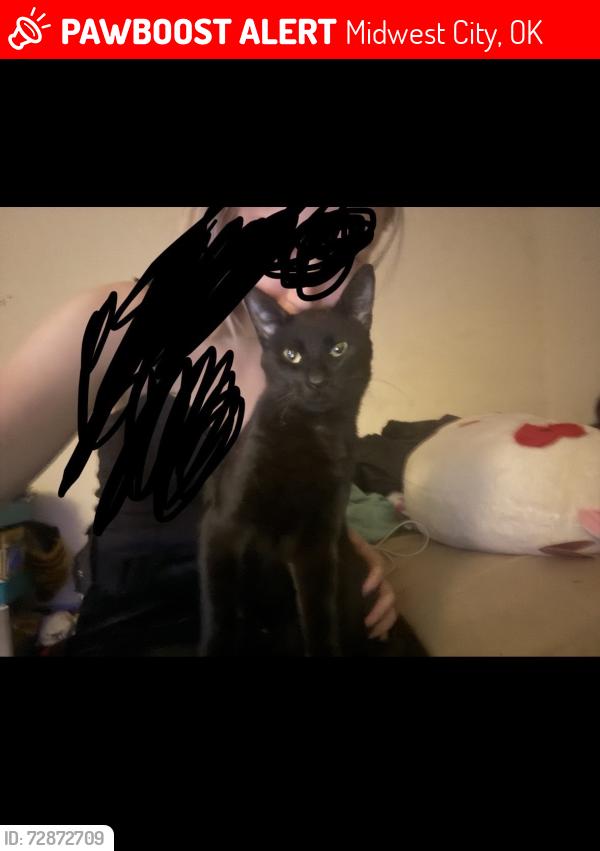 Lost Male Cat last seen Felix Pl. and SE 15th, Midwest City, OK 73110