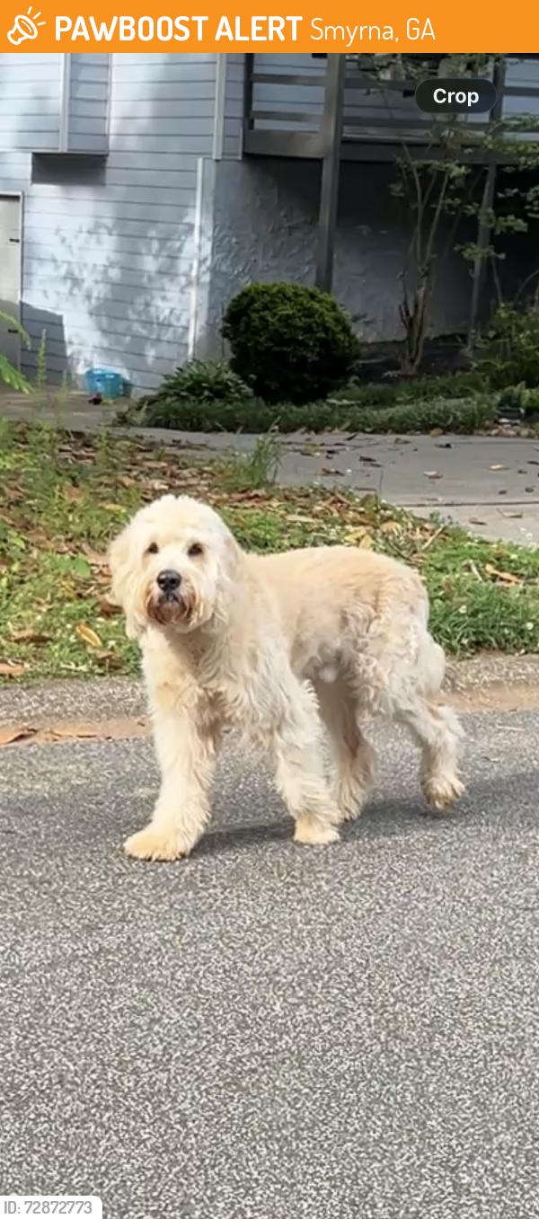 Found/Stray Male Dog last seen In Deerwood subdivision, wandering down Doeskin Lane, Smyrna, GA 30082