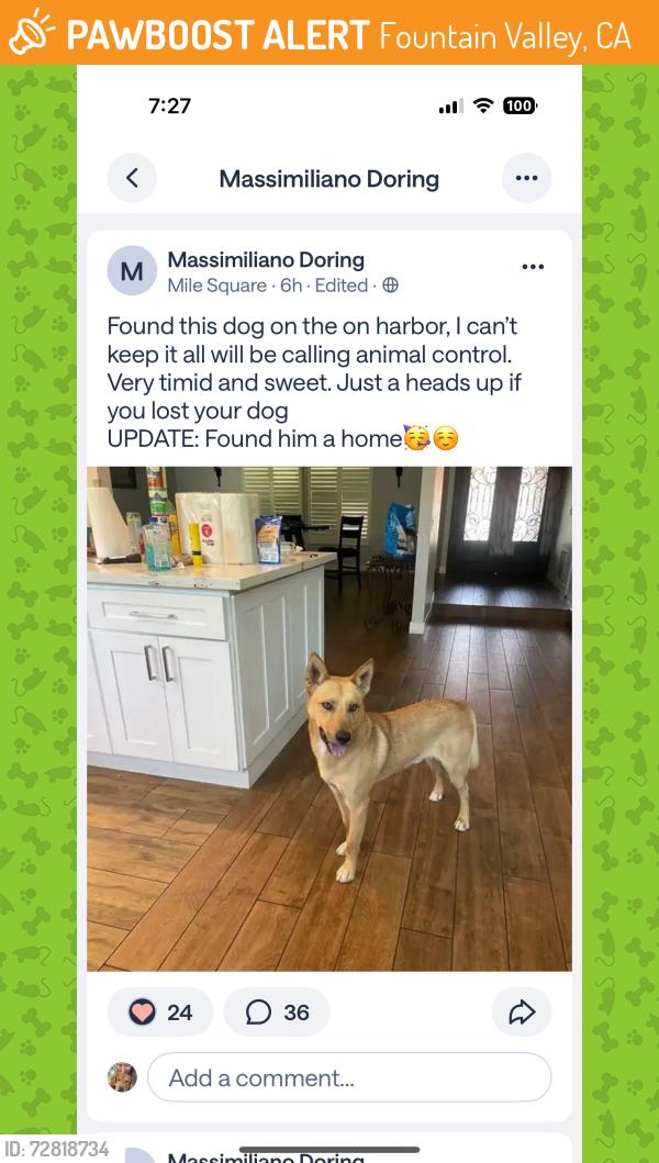 Found/Stray Male Dog last seen Harbor in fountain Valley, Fountain Valley, CA 92708