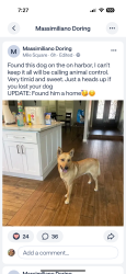 Found/Stray Male Dog last seen Harbor in fountain Valley, Fountain Valley, CA 92708