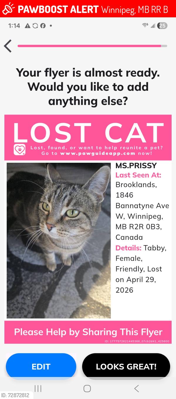 Lost Female Cat last seen Juba st, Winnipeg, MB R2R 0B3