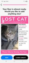 Lost Female Cat last seen Juba st, Winnipeg, MB R2R 0B3