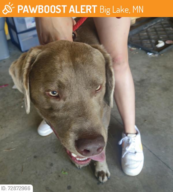 Found/Stray Male Dog last seen Hwy 26 & Monroe St., Big Lake, MN 55309