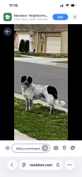Shelter Stray Male Dog last seen Near W 5400 S, MURRAY CITY, UT, 84123, Taylorsville, UT 84123