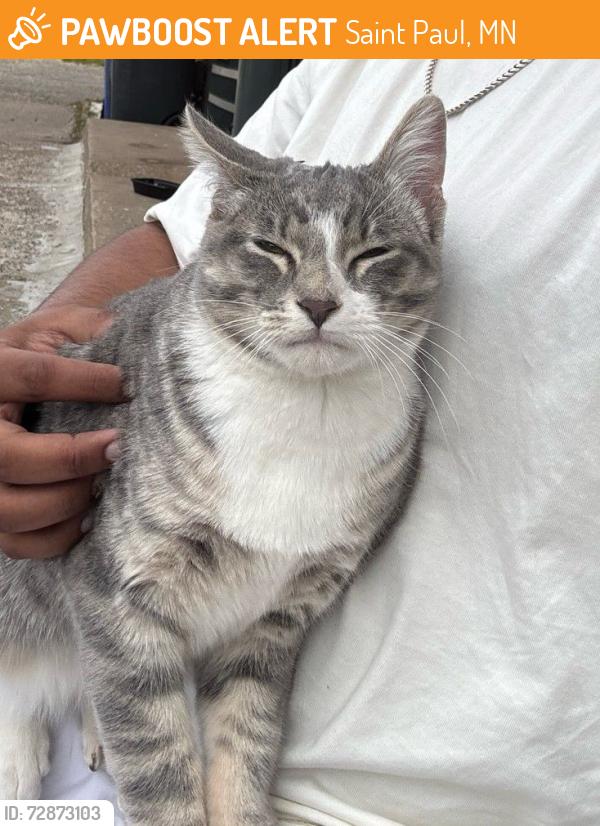 Found/Stray Male Cat last seen Battle Creek Regional Park, Saint Paul, MN 55119