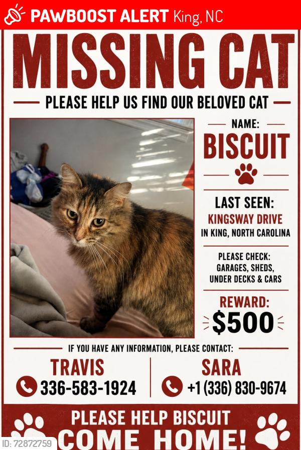 Lost Female Cat last seen Near kingsway dr, King, NC 27021