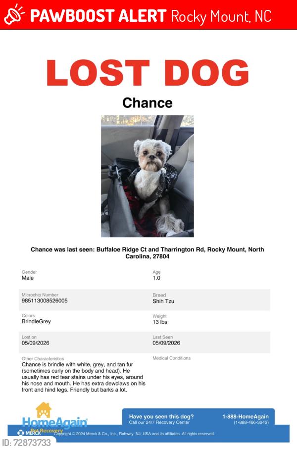 Lost Male Dog last seen Buffaloe Ridge Ct and Tharrington Rd, Rocky Mount,, Rocky Mount, NC 27804