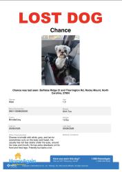 Lost Male Dog last seen Buffaloe Ridge Ct and Tharrington Rd, Rocky Mount,, Rocky Mount, NC 27804