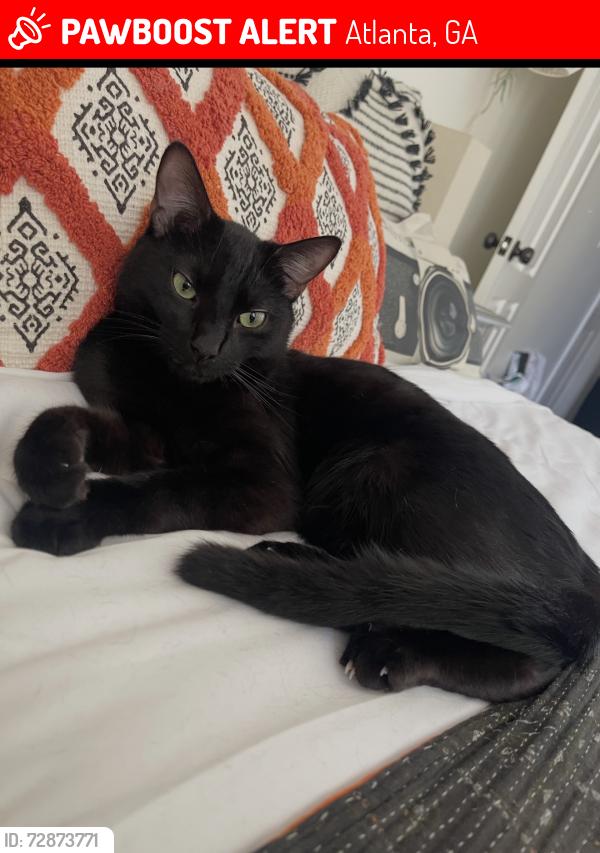 Lost Male Cat last seen Ralph McGill and E ave he ran out of the back of my yard and it backs up to e ave, Atlanta, GA 30312