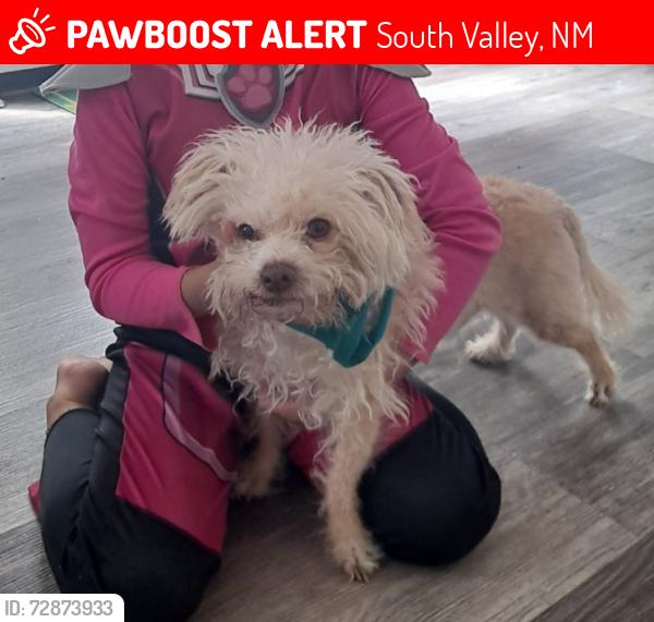 Lost Male Dog last seen Atrisco and felicitas rd sw, South Valley, NM 87105